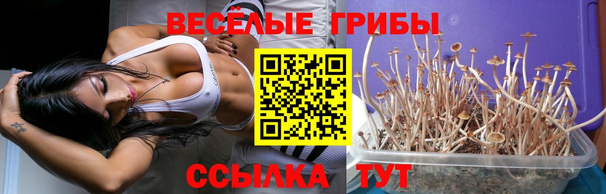 Псилоцибиновые грибы MAGIC MUSHROOMS  Вход с VPN  цены наркотик  Лысьва 