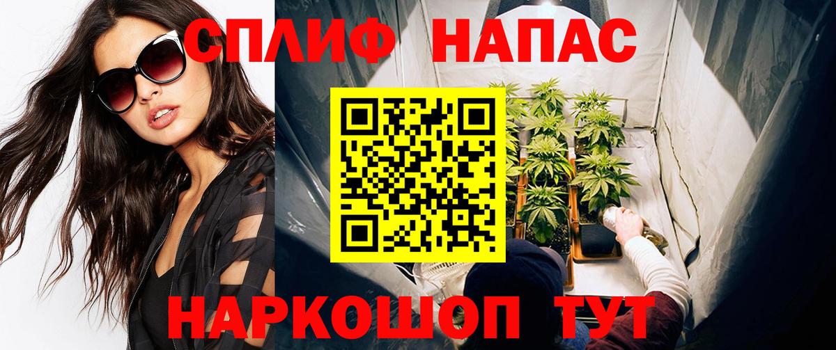 Каннабис планчик Лысьва